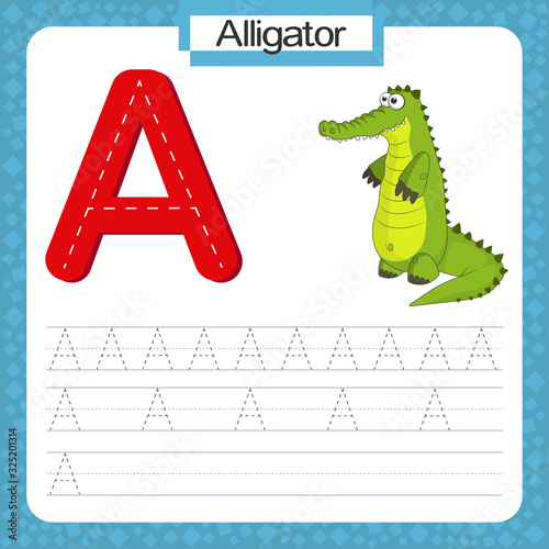 Uppercase letter A with cartoon alligator. ABC alphabet trace practice worksheet and handwriting layout for kids learning English vocabulary.Education card with exercise for preschool and kindergarten
