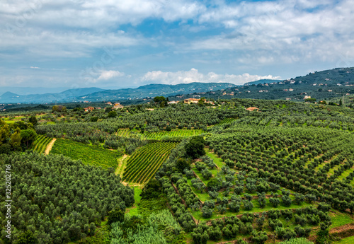 Green Tuscany Landscape