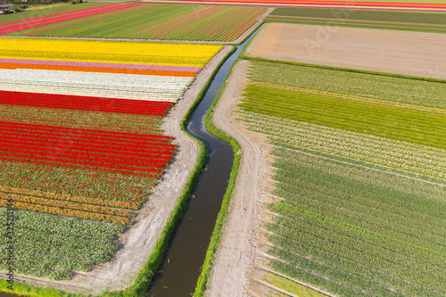 Photography Aerial view of Tulip field in the geometric  environment showing beautiful colors in the spring, The Netherlands
