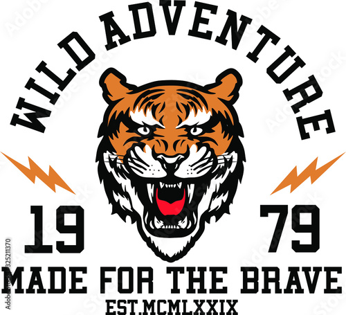 tiger college vector illustration t-shirt print