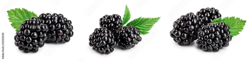 blackberry with leaf isolated on a white background closeup. Set or collection blackberry with leaf isolated on a white background closeup. Set or collection