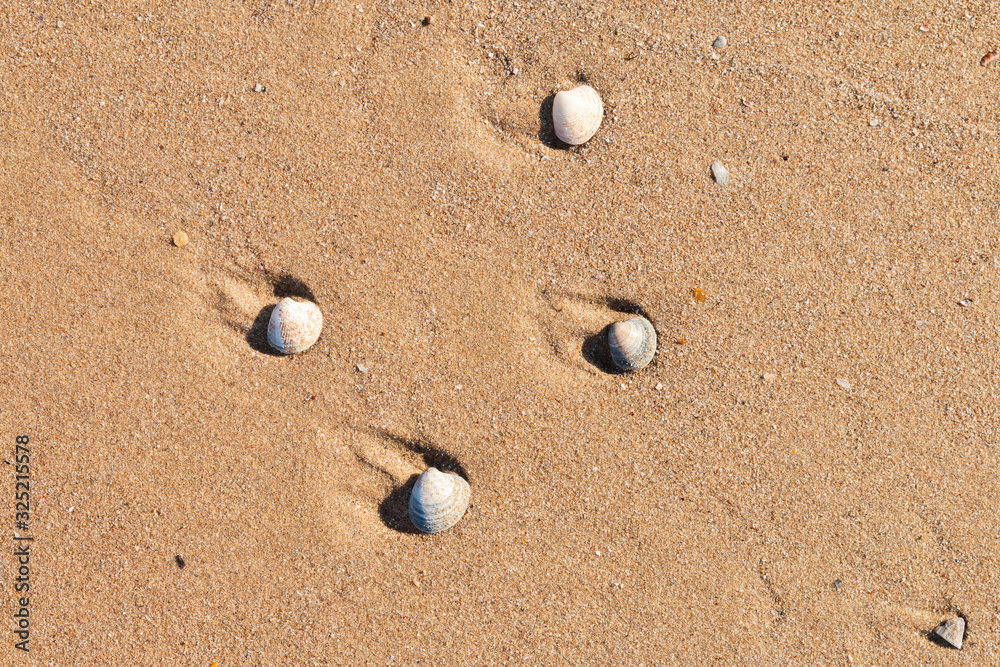 Many kind of the beach in Istanbul,Sile province. 