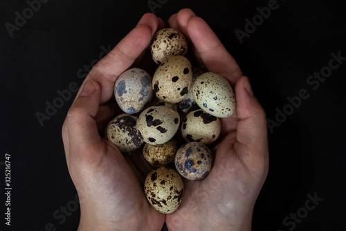Quail eggs production industry. Hands of unrecognizable female holding a pile of quail eggs in palms. View from above. Top view