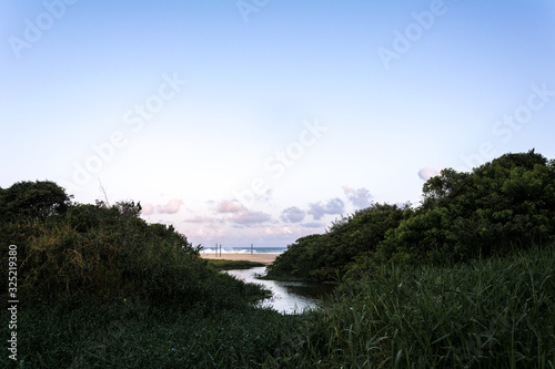 Small river reaching the sea