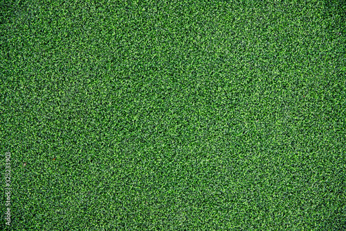 Top view of Artificial green Grass background and texture, Green grass on fitness club photo