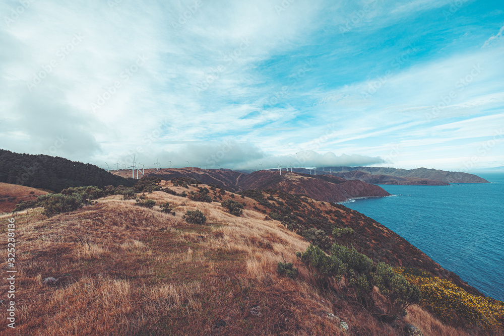 Landscape of Makara Beach in summer, Wellington, New Zealand Landscape of Makara Beach in summer, Wellington, New Zealand
