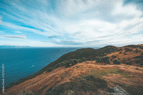 Landscape of Makara Beach in summer, Wellington, New Zealand   photo