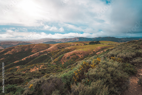 Landscape of Makara Beach in summer, Wellington, New Zealand   photo