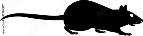 rat silhouette vector illustration