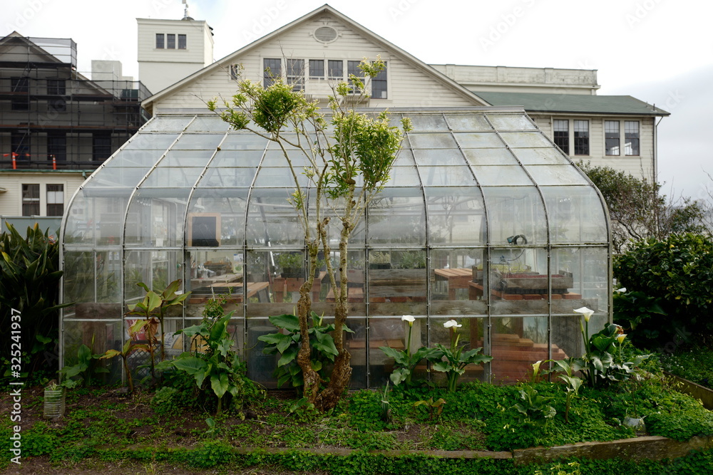 A beautiful glass greenhouse in the middle of a garden with buildings behind it