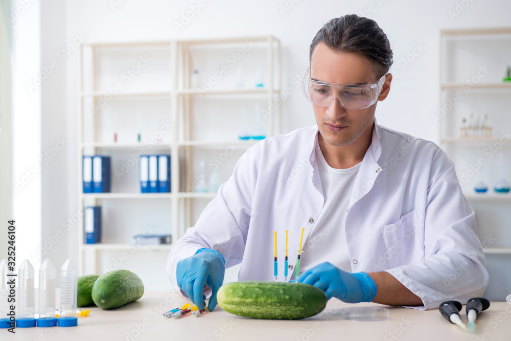 Fototapeta premium Male nutrition expert testing vegetables in lab