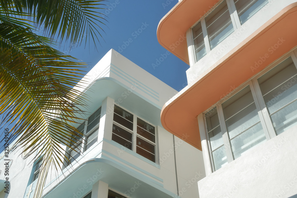 Obraz premium Tropical Art Deco