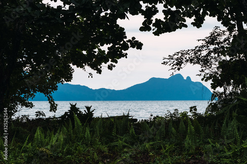 Fototapeta Naklejka Na Ścianę i Meble -  Bako National Park. Sarawak. Borneo. Malaysia