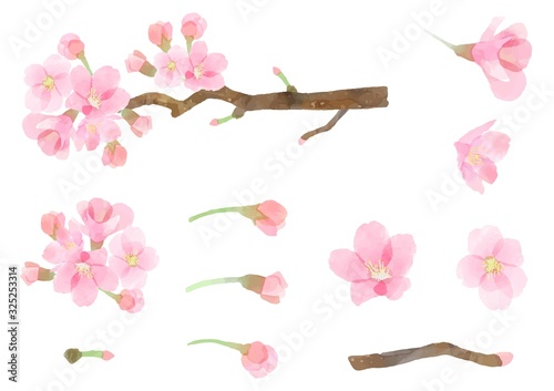 桜　水彩　素材　パーツ