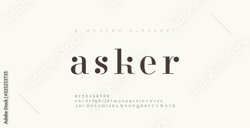 Fototapeta Elegant alphabet letters font and number. Classic Lettering Minimal Fashion Designs. Typography fonts regular uppercase and lowercase. vector illustration