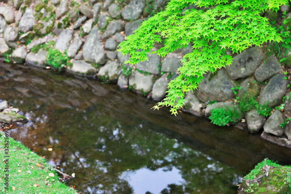 小川と石垣と緑