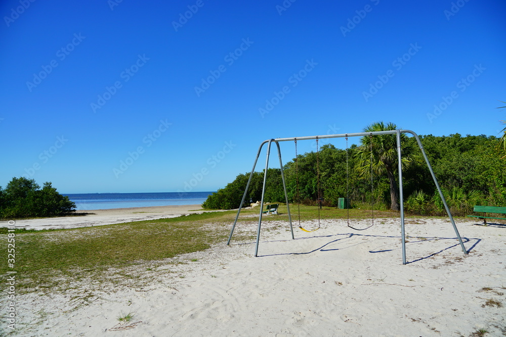 The landscape of Florida palm harbor beach The landscape of Florida palm harbor beach