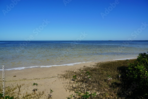 The landscape of Florida palm harbor beach
