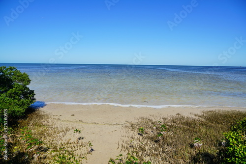 The landscape of Florida Palm Harbor beach