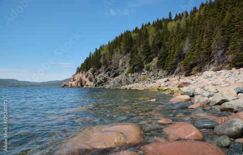 Rocky coastline of Nova Scotia. Conifer forest growing on rocks. Huge boulders of different colors in the water and the land.
