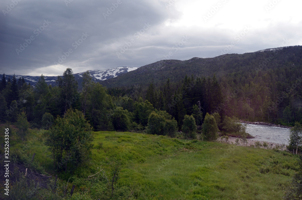 Fototapeta premium Railway travel in Norway.Views from the train. The Bergen - Oslo train. 