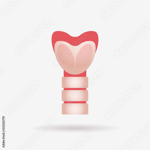 thyroid gland with trachea and larynx endocrinology system or hormone secretion human internal organ anatomy healthcare medical concept flat vector illustration