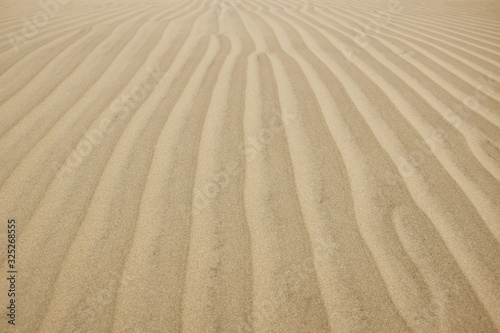 Sand formations in Huacachina  Peru