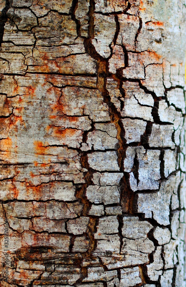 texture of old wall texture of old wall
