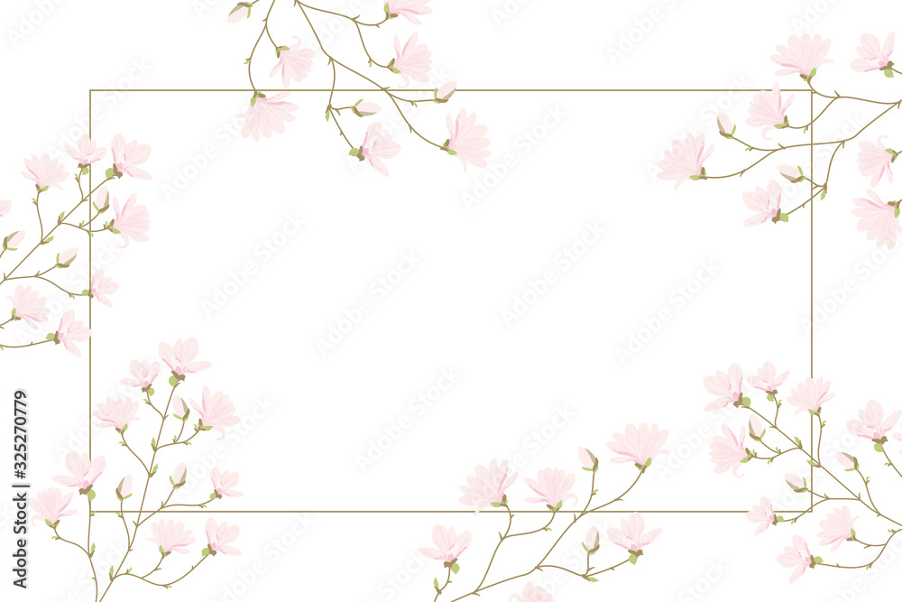 Vector magnolia flowers background illustration