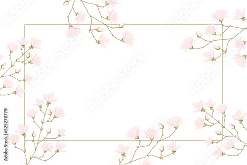 Vector magnolia flowers background illustration © KY