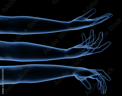 Set of human hands x-ray