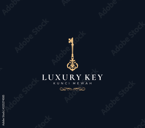 luxury key logo dark background , symbol icon vector 