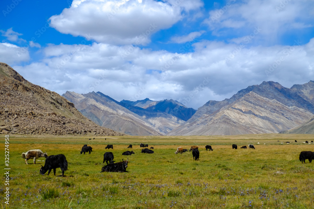 インドのラダック地方から陸の孤島と言われるザンスカールまでバイクでツーリングした時の風景　