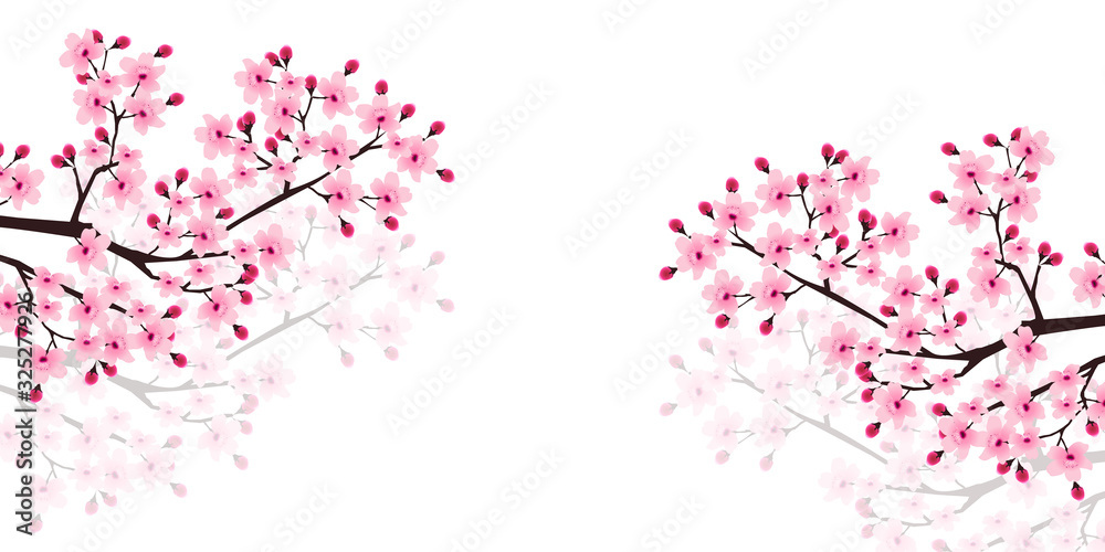 桜 春 花 背景 桜 春 花 背景