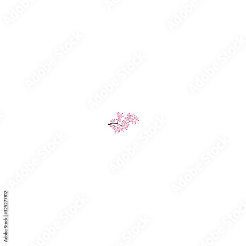 桜　春　花　アイコン