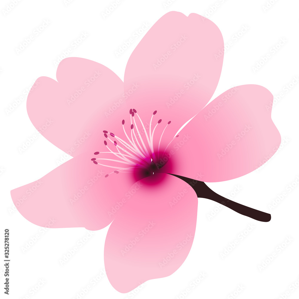桜 春 花 アイコン 桜 春 花 アイコン