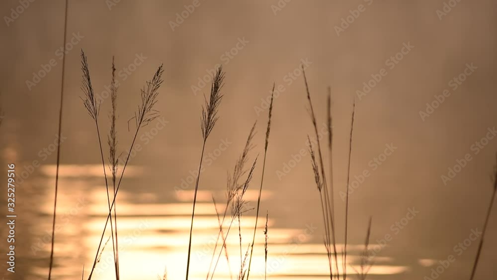 Grass and wave of water at the Reservoir in sunset background. Grass and wave of water at the Reservoir in sunset background.