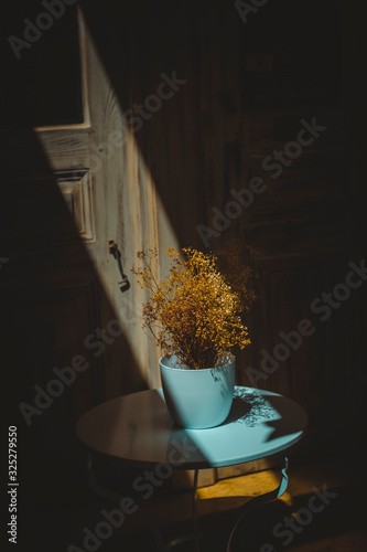 Pale blue vase with decorative dry plants illuminated by a beam of sunlight