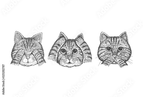 Hand drawn 3 wise cats with hands covering eyes, ears and mouth, Vector