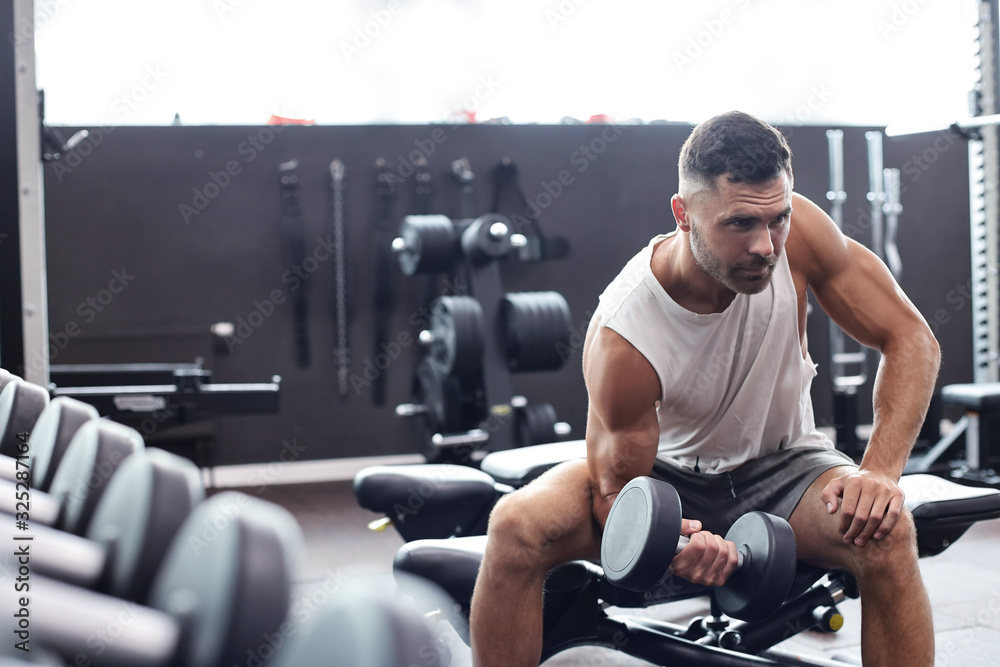 Fit and muscular man doing biceps workouts with dumbbells in gym, copy space. Fit and muscular man doing biceps workouts with dumbbells in gym, copy space.