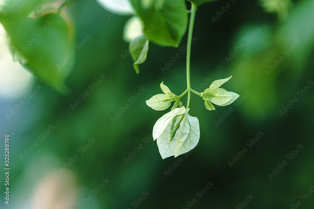 Obraz premium white confetti drop