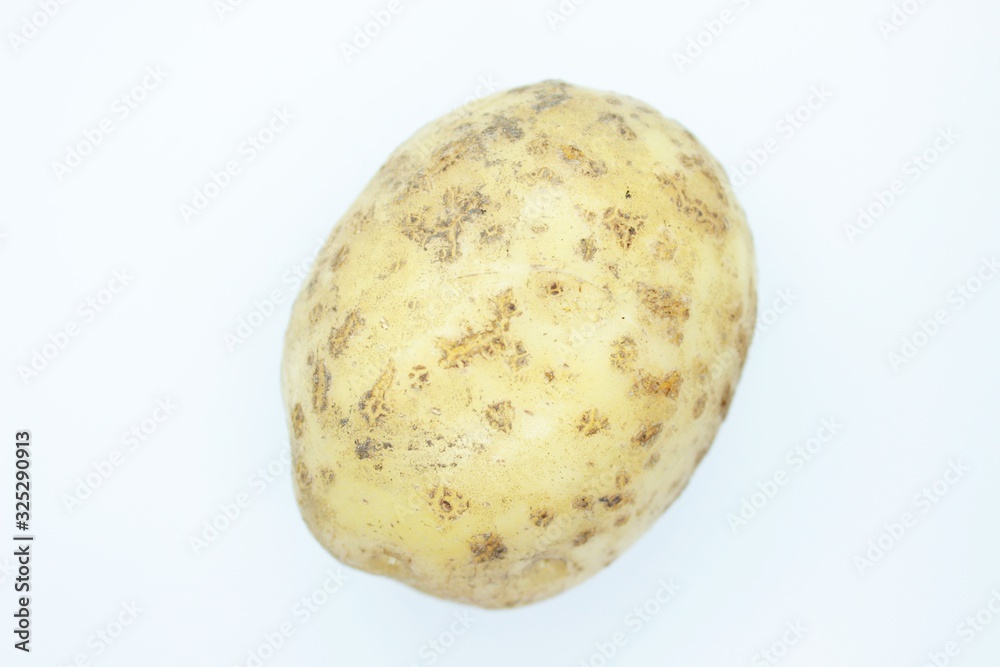 Raw beautiful potato is located on a white background Raw beautiful potato is located on a white background