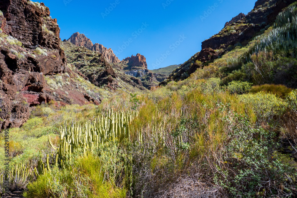 Berglandschaft auf Teneriffa im Frühling