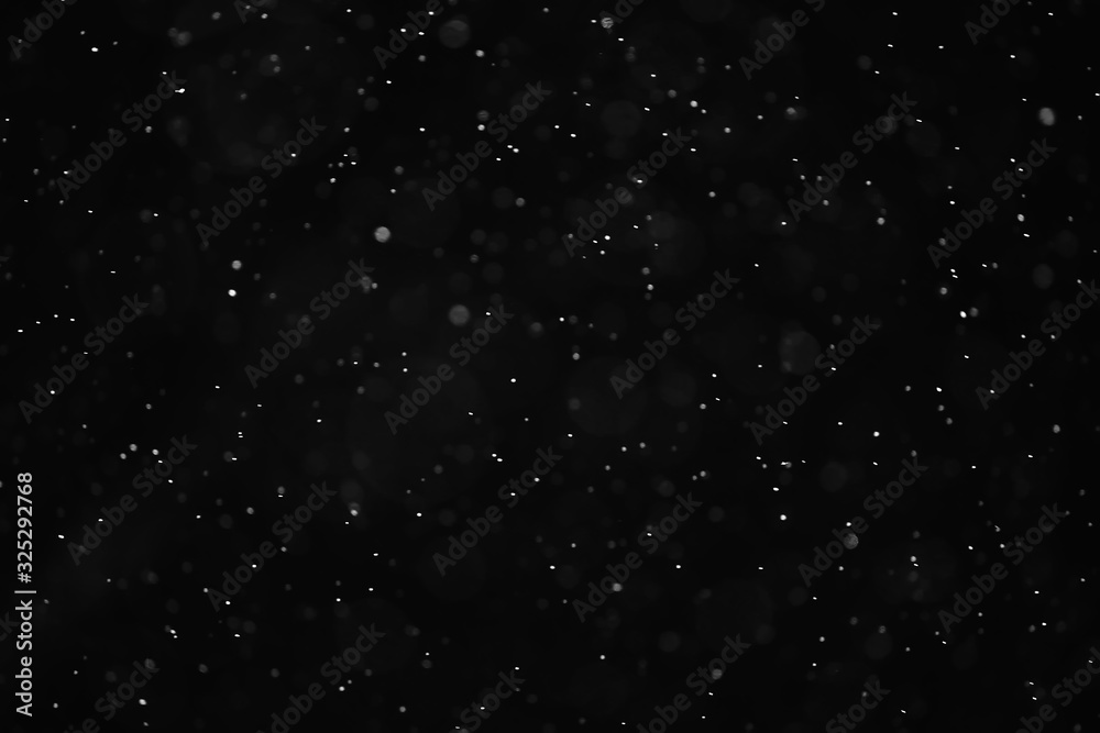 Obraz premium snow black background abstract texture, snowflakes falling in the sky overlay