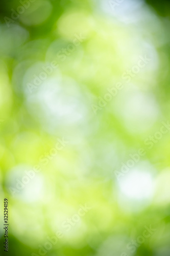 Beautiful abstract lights of green nature using as background or wallpaper concept
