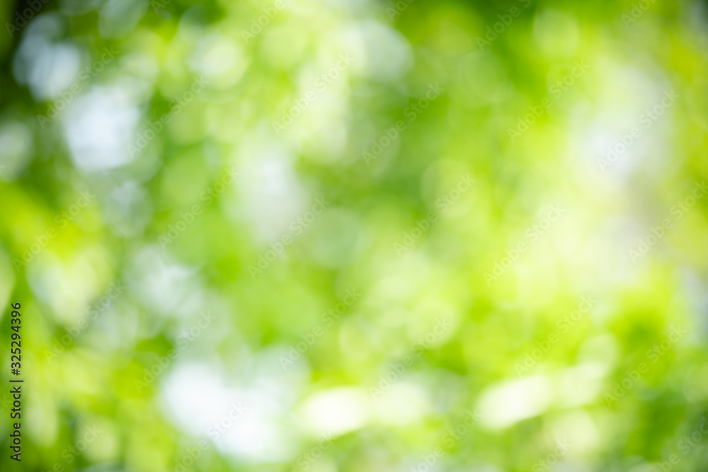 Beautiful abstract lights of green nature using as background or wallpaper concept Beautiful abstract lights of green nature using as background or wallpaper concept