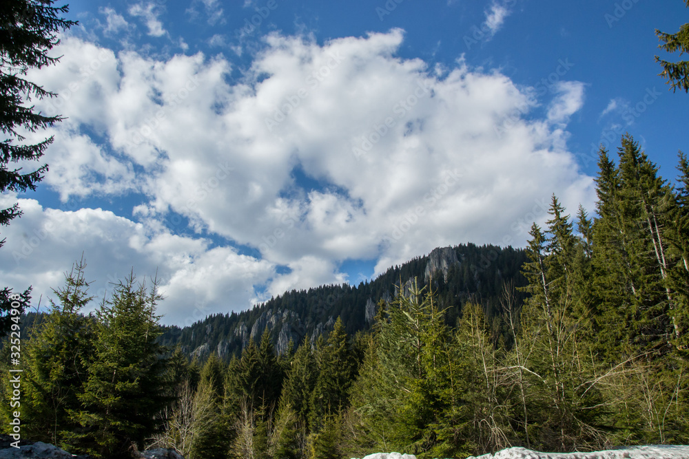 Beautiful clouds against blue sky and silhouettes of mountain and trees, daytime in the forest