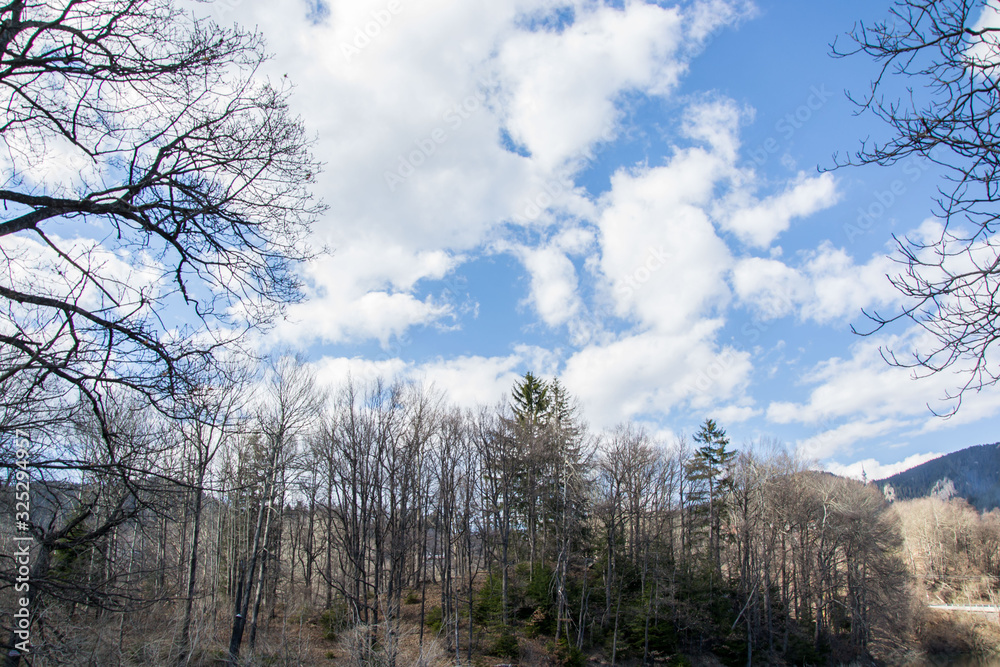 Beautiful clouds against blue sky and silhouettes of mountain and trees, daytime in the forest Beautiful clouds against blue sky and silhouettes of mountain and trees, daytime in the forest