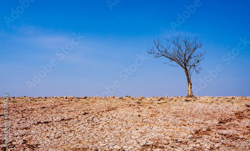 Part of a Huge Area of Dried Land Suffering from Drought - in Cracks,Detail close up of cracked soil showing dry conditions.Adjust the light with exaggerating techniques.