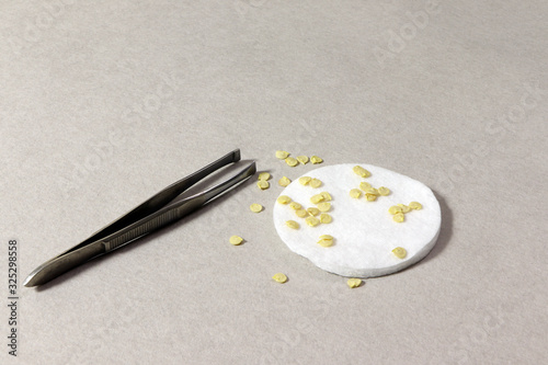 Forceps and seeds on a grey background. Seedling. Gardening. Pincers.